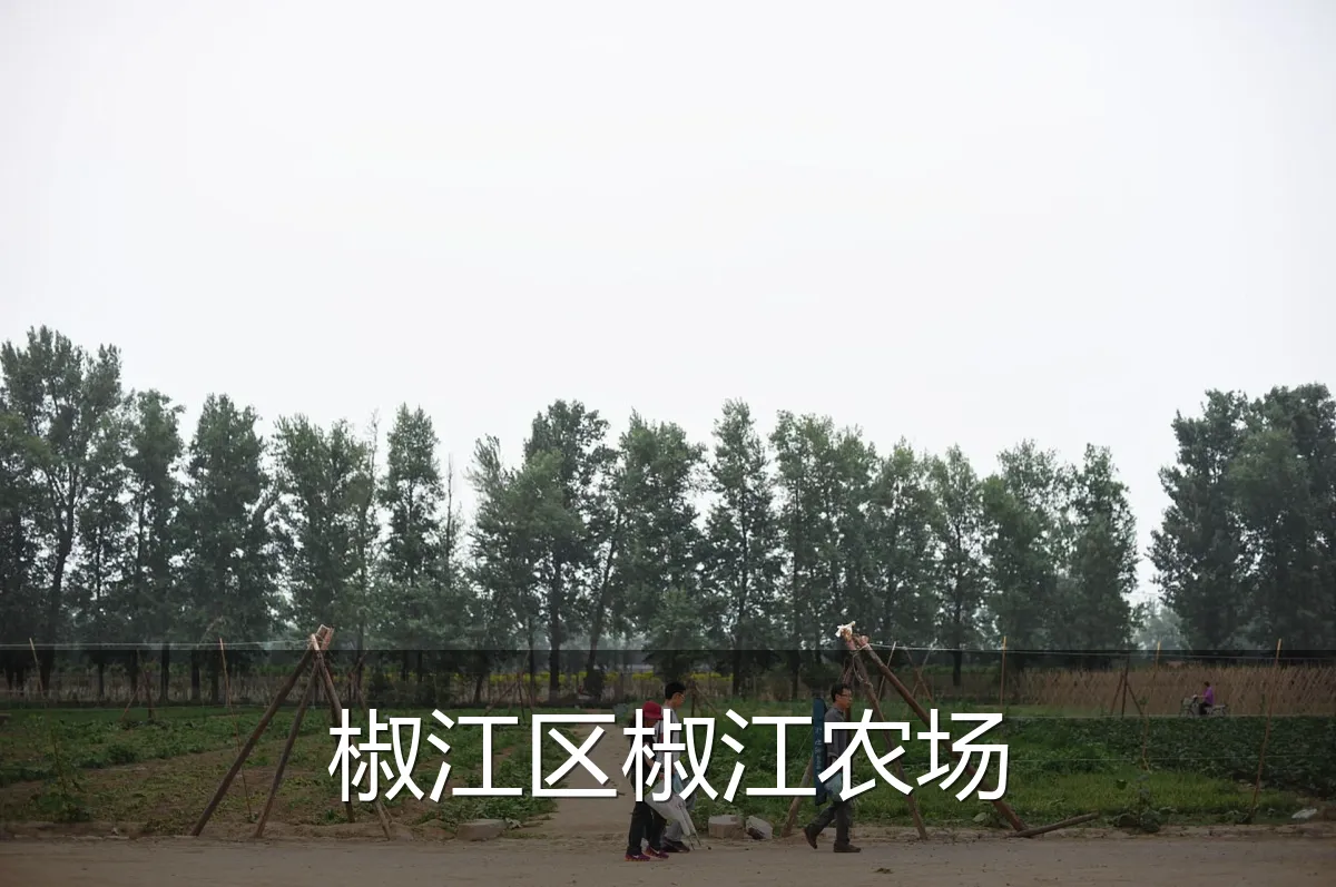 椒江区椒江农场