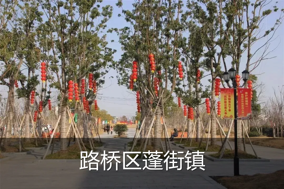 路桥区蓬街镇