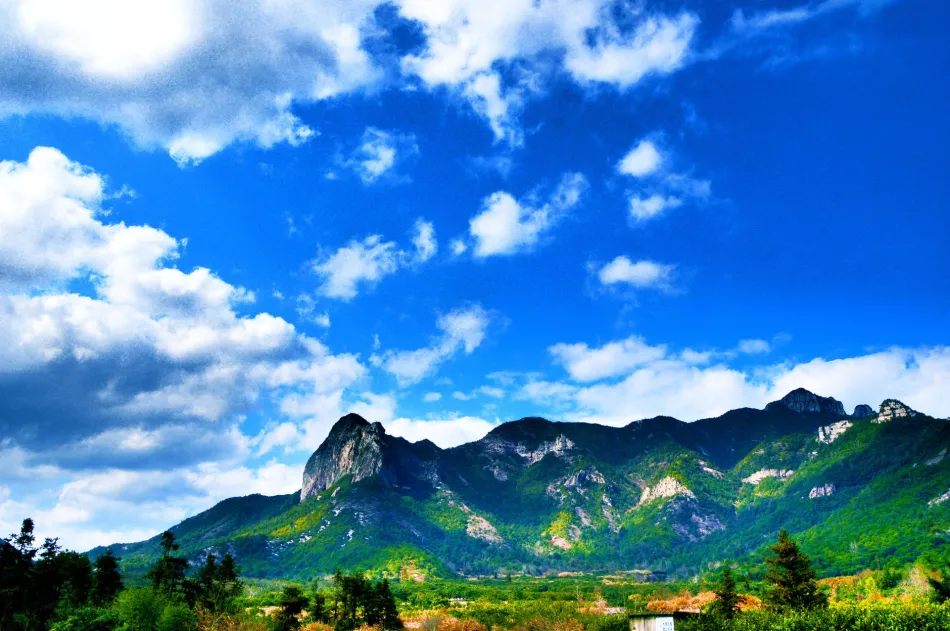 三门县三门县移动宽带